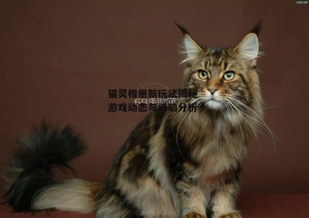 猫灵相册新玩法揭秘 游戏动态与活动分析