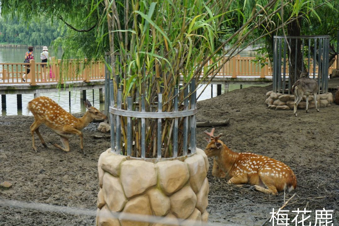 欢乐庄园闪耀滨海：第三届电影节参赛佳作
