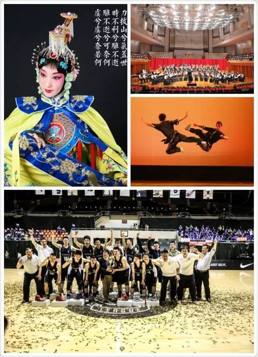 魔域sifu_sifu