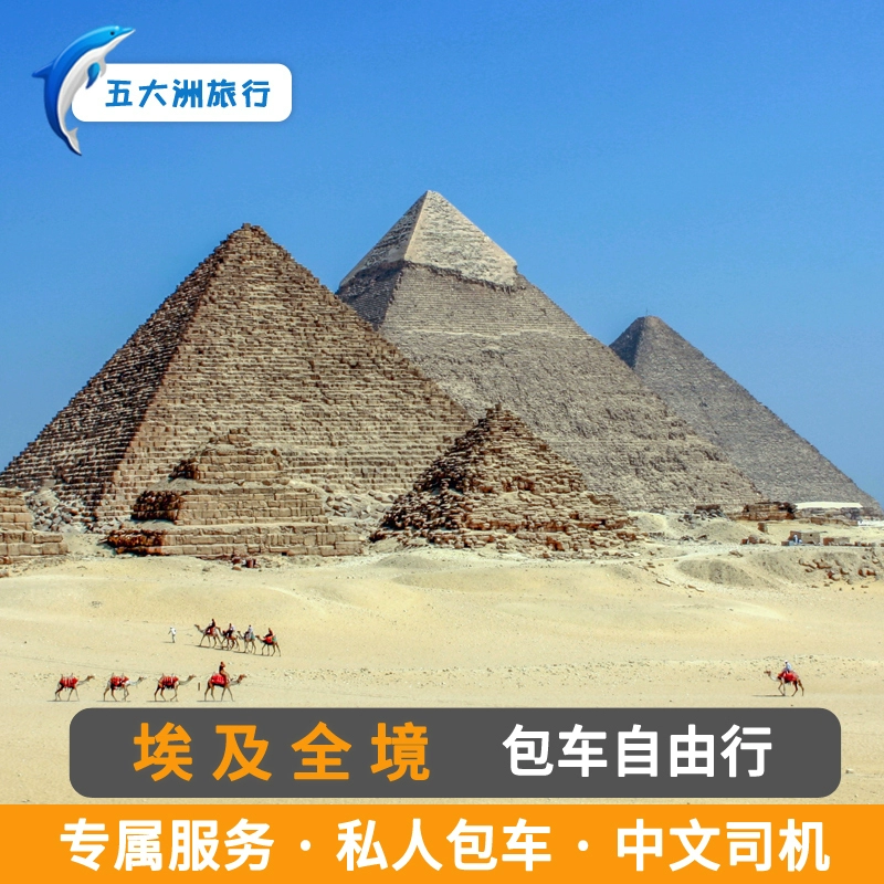 口袋巴士开罗专区_开罗口袋巴士_口袋巴士开罗游戏合集