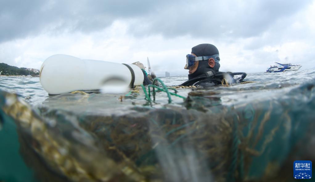 海面垃圾清除活动实施方案_海面清除垃圾方案实施活动内容_海面垃圾清理案例
