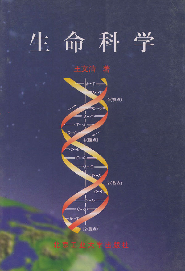 第二生命华丽登场！让你玩转超趣味的游戏！