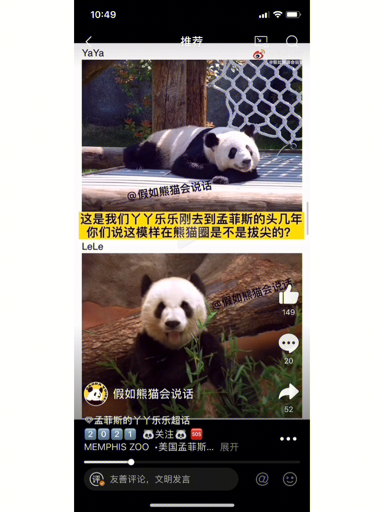 游龙戏凤天才小王妃_天才小熊猫吧_天才儿子小小妈