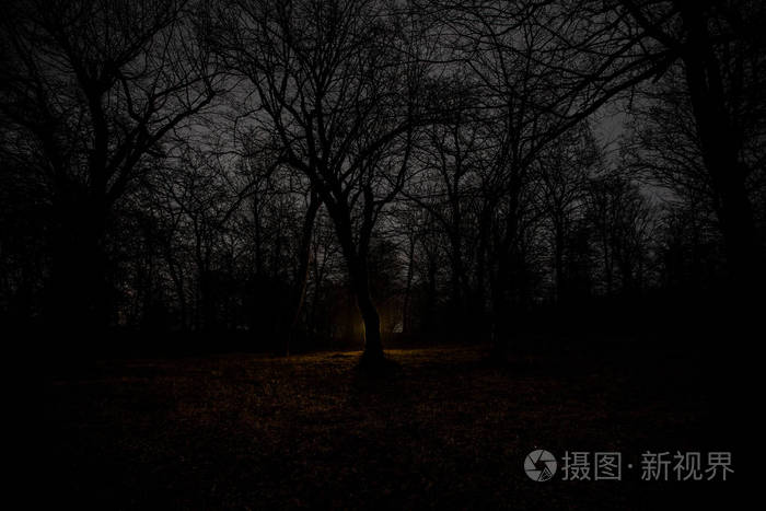 星辰璀璨，魔法之夜