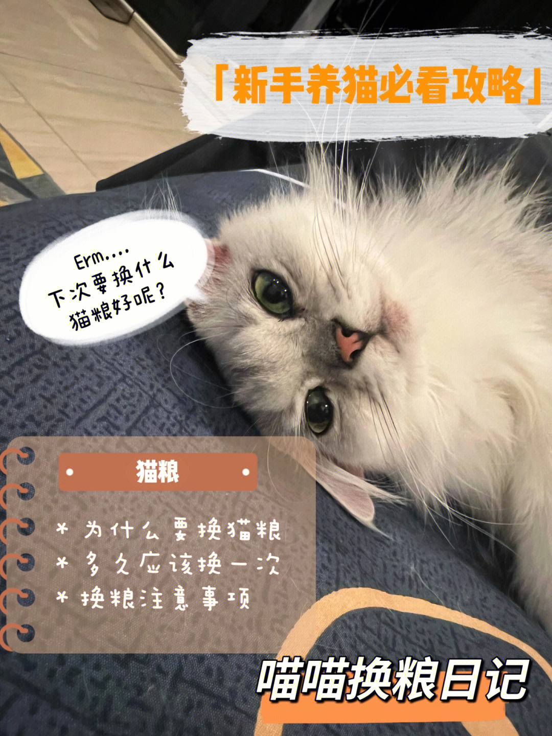猫和老鼠四川方言版_四川骂人方言大全_四川泸州骂人方言