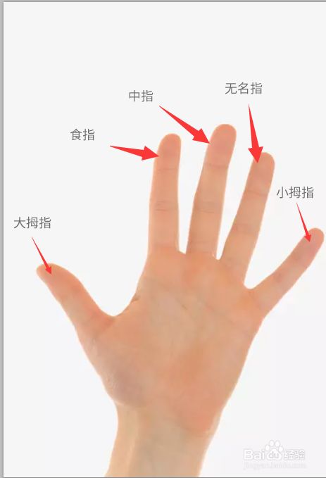 幼儿园必玩的手指游戏，快乐启蒙！