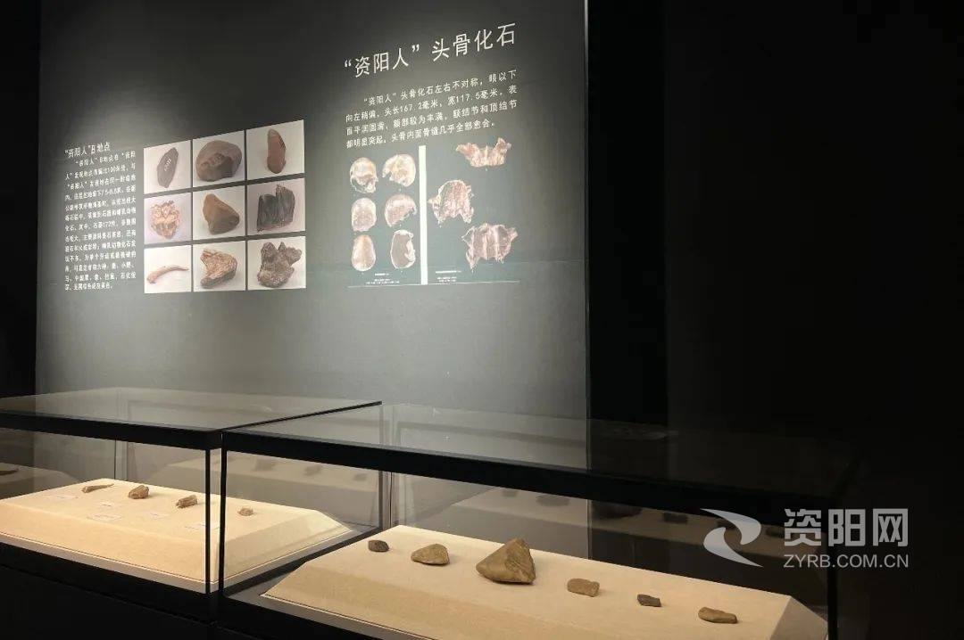 石器世界手游_石器时代世界国际服下载_石器世界官网