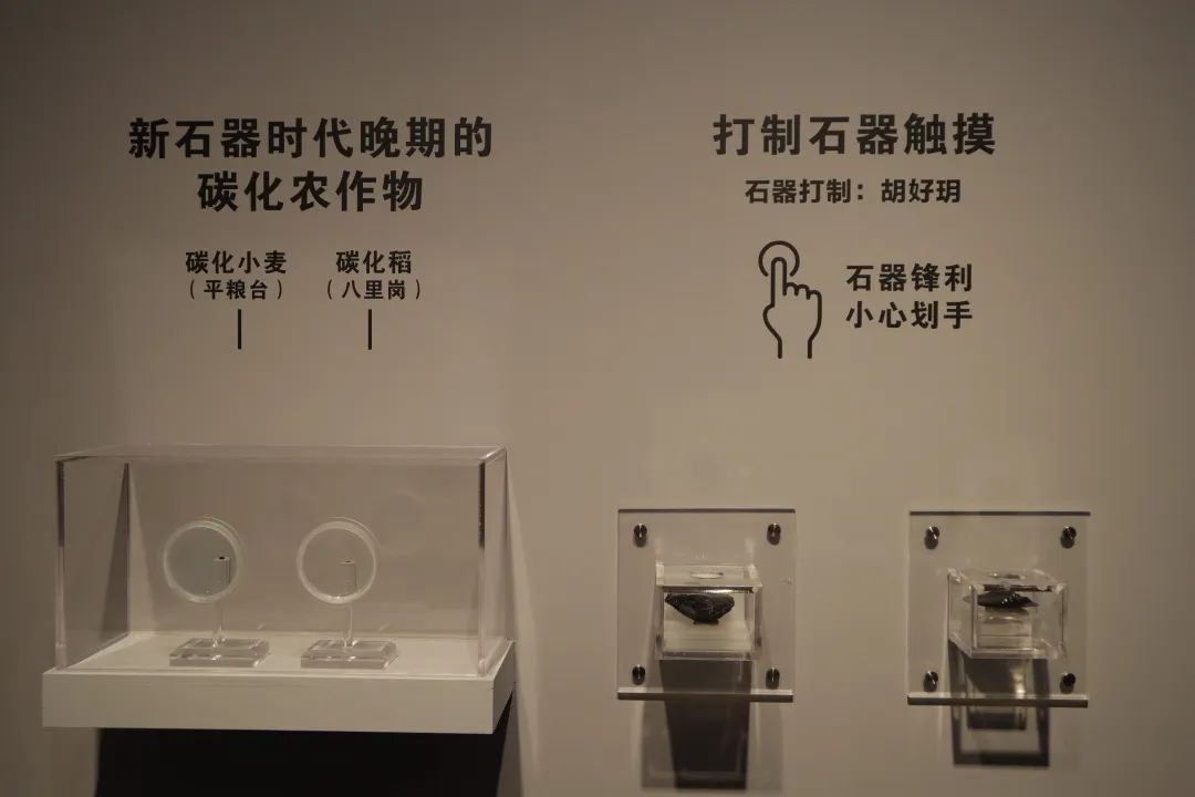 石器时代世界国际服下载_石器世界手游_石器世界官网