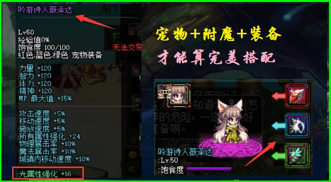 火炬之光宠物装备_火炬之光2宠物穿装备_火炬宠物穿装备怎么穿