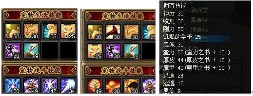 火炬之光2宠物穿装备_火炬之光宠物装备_火炬宠物穿装备怎么穿