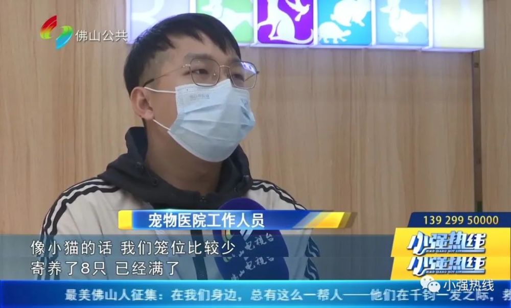 佛山宠物医院_佛山宠物医院哪家好_佛山宠物医院24小时营业