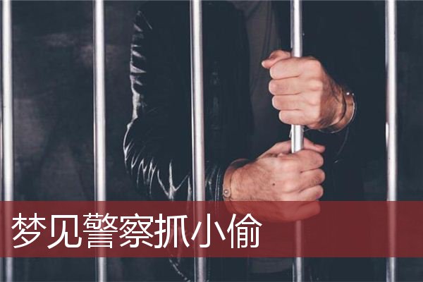 小偷的逻辑_小偷逻辑推理段子_于雷着 逻辑思维训练500题2警察抓小偷智力题