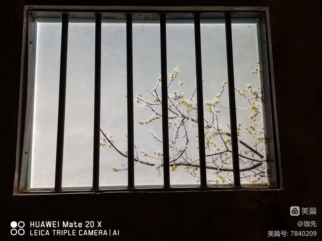 （每日一题）千雨是一个年轻而聪明的女孩