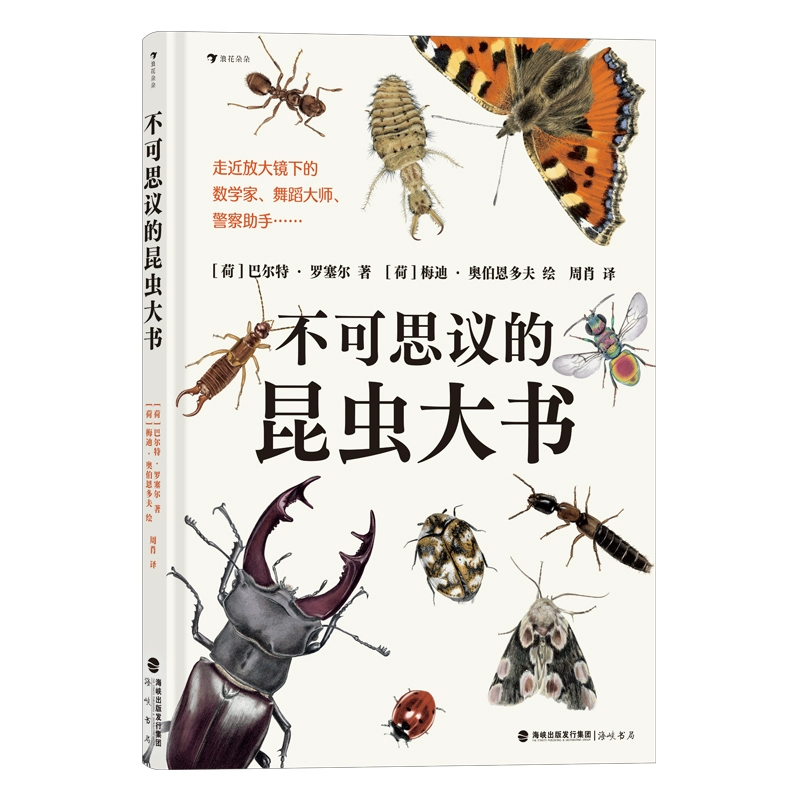 游戏网页图片_游戏王国网页游戏平台_rpg网页游戏网页游戏