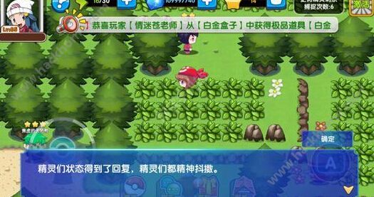 口袋双子星_口袋双子星黑白图鉴_口袋双子星下载