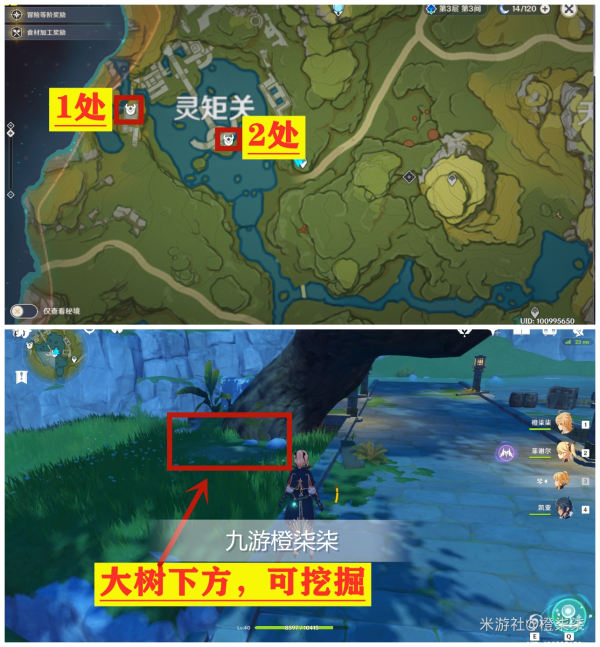 寻宝游戏：迷失神秘森林
