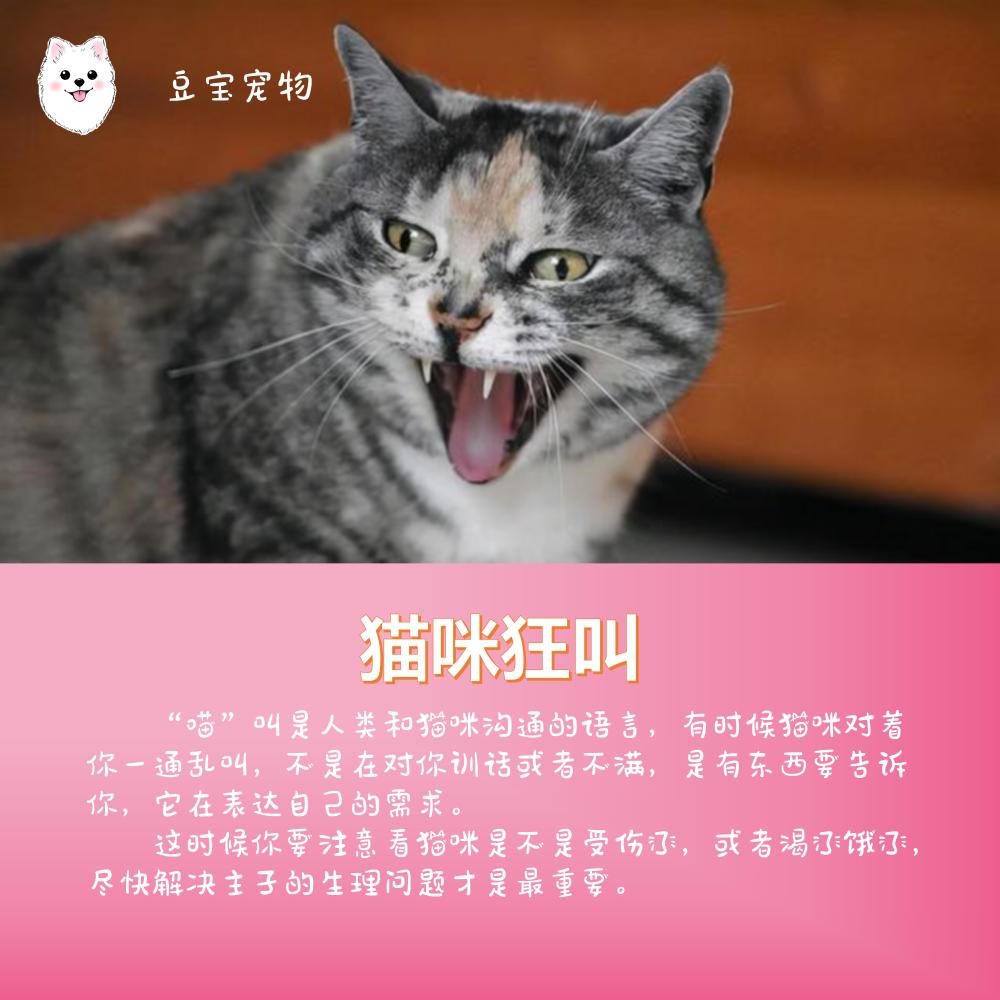 猫扑知乎_猫扑性小说_猫扑经典yy帖子