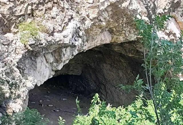 饥荒月岛_饥荒月岛攻略有什么用_饥荒月岛一般在哪里可以找到