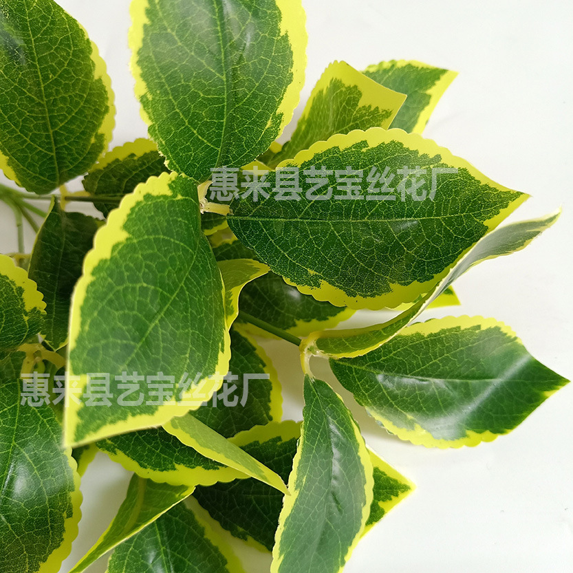 假玉猪龙图片_假血龙木手串图片_锖假龙
