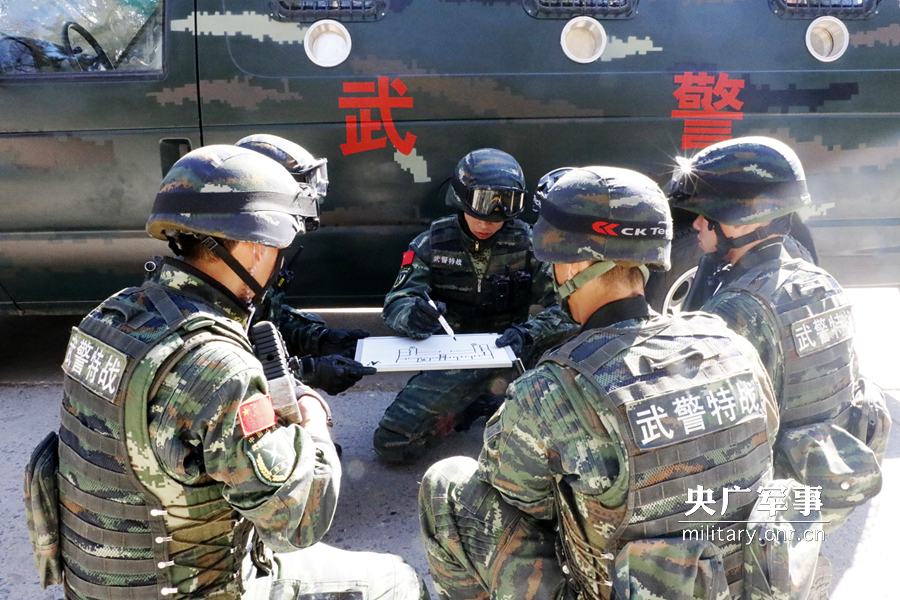 反恐特遣队3怎么调中文_反恐特遣队3_反恐特遣队2海豹突击队秘籍