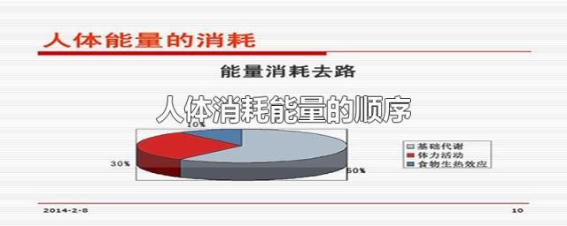 无翼污：全彩本子解析