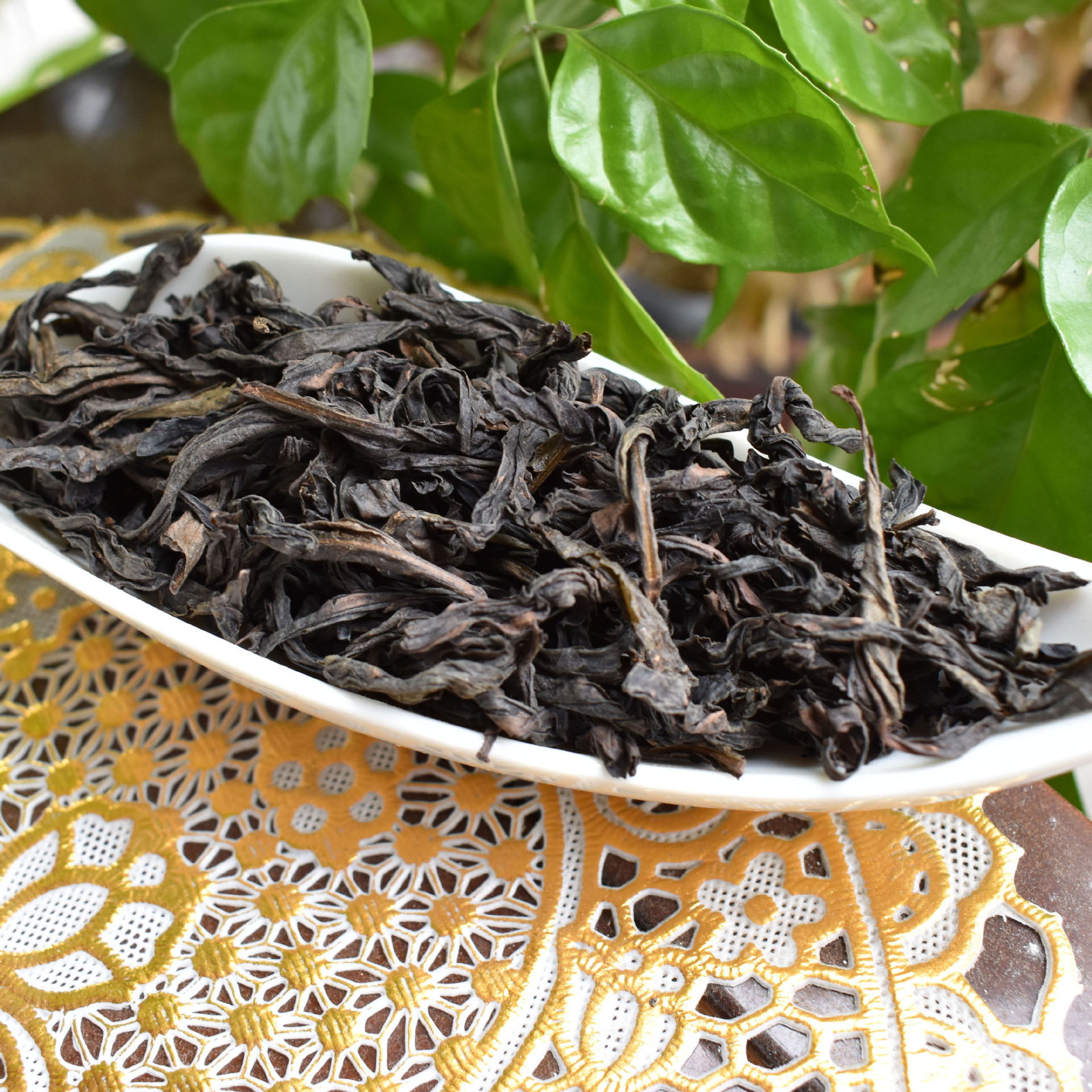 岩茶有哪些品种_岩茶有什么功效_岩茶有哪些