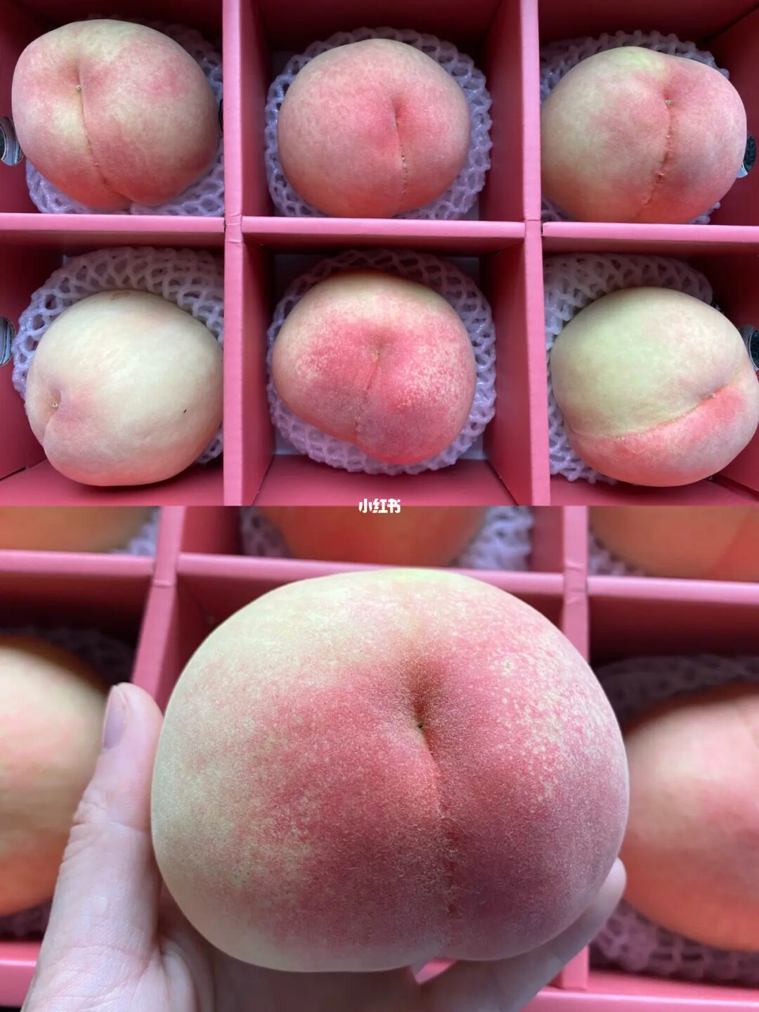 水蜜桃成熟时下载_水蜜桃姐姐的舞蹈视频_水蜜桃视频下载