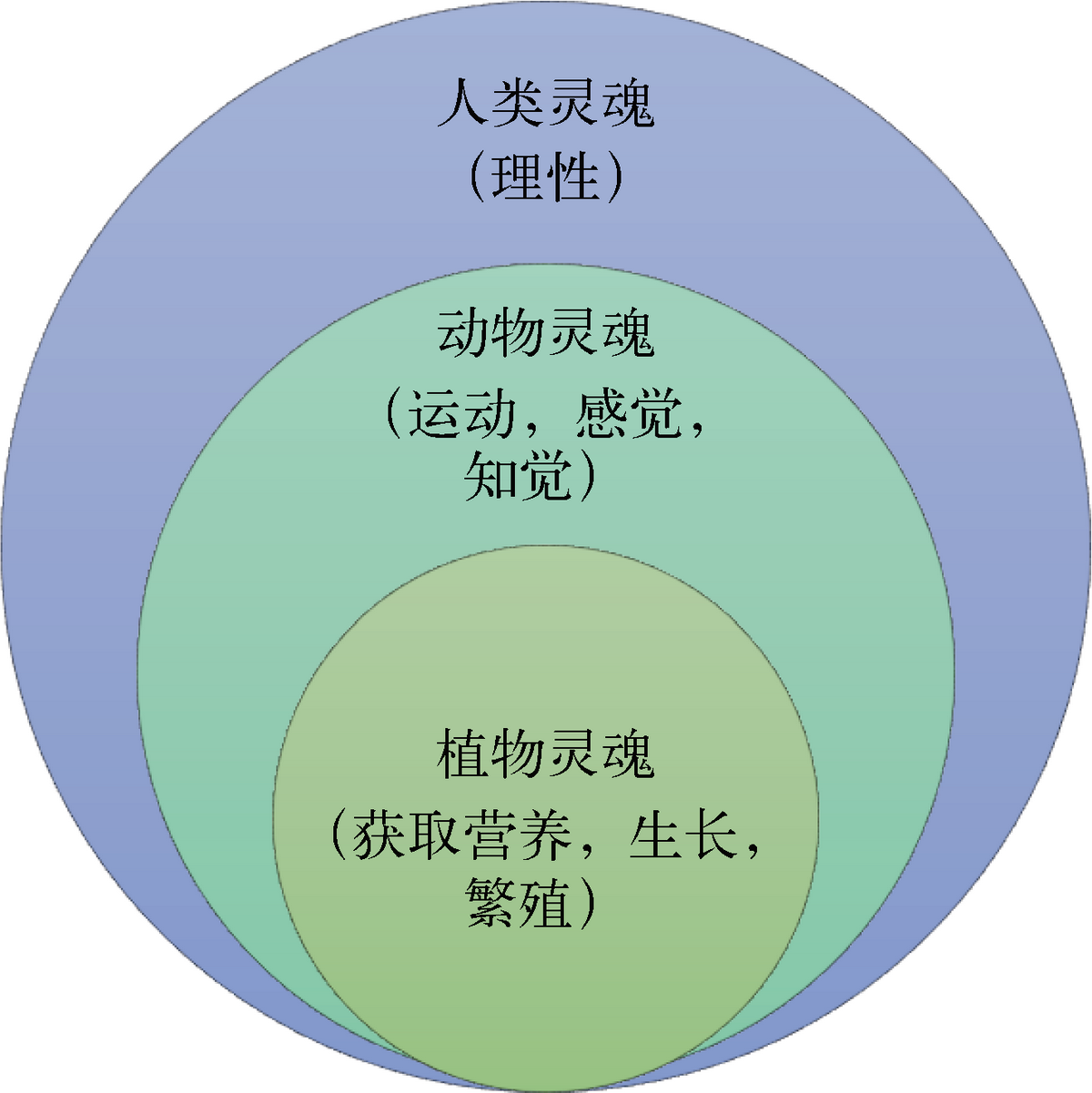 五官感知世界：人类神奇动物