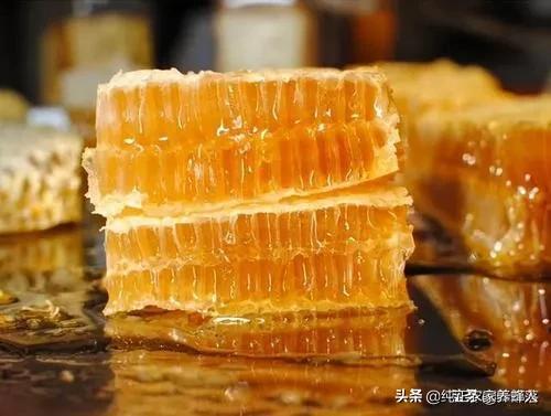 世界蜂蜜资源最多的地方_我的世界蜂蜜有什么用_蜂蜜世界排名
