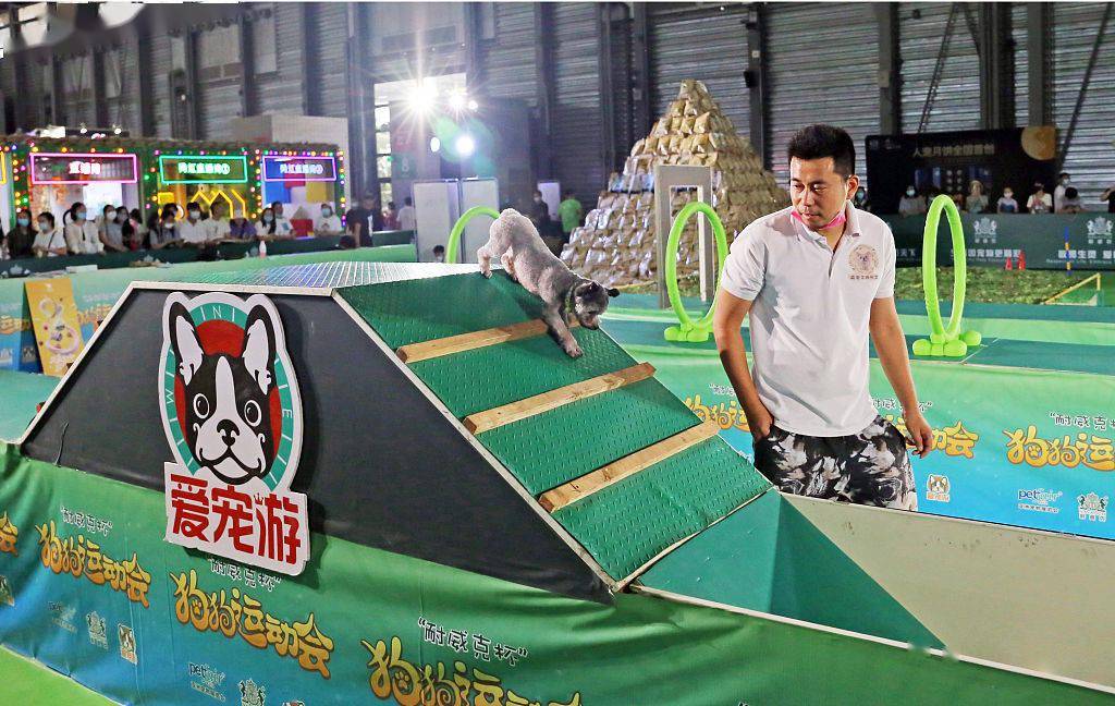 狗狗运动会游戏机秘诀_狗狗运动会_电玩城狗狗运动会