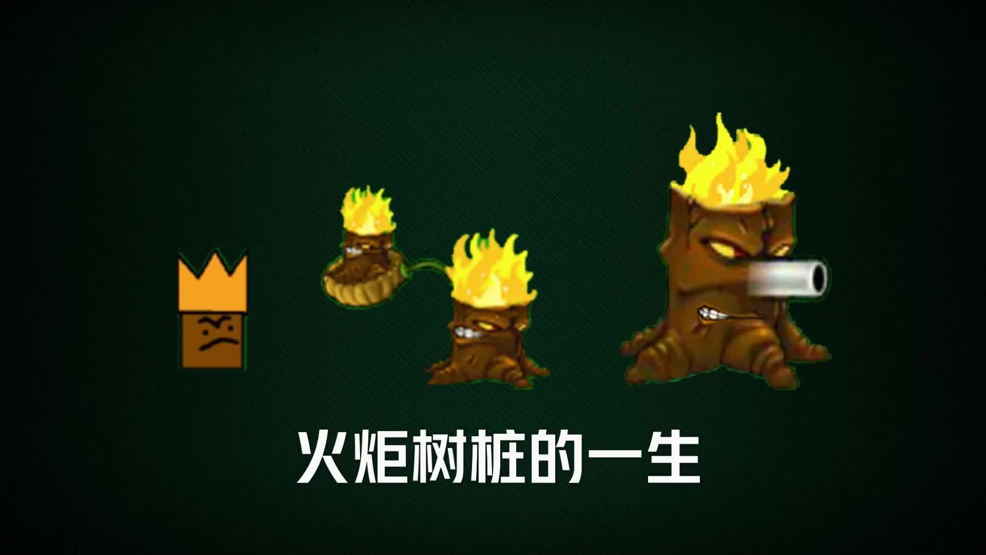 火炬树桩可以点燃哪些子弹_火炬树桩_火炬树桩加成多少伤害
