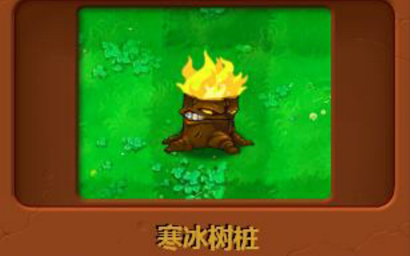 火炬树桩可以点燃哪些子弹_火炬树桩加成多少伤害_火炬树桩