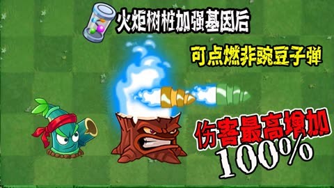 火炬树桩加成多少伤害_火炬树桩_火炬树桩可以点燃哪些子弹