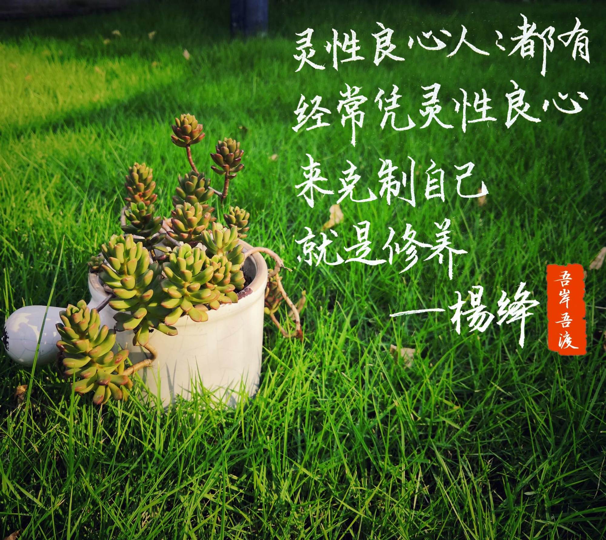 飞越高空，畅享刺激：挑战极限，体验飞索之旅