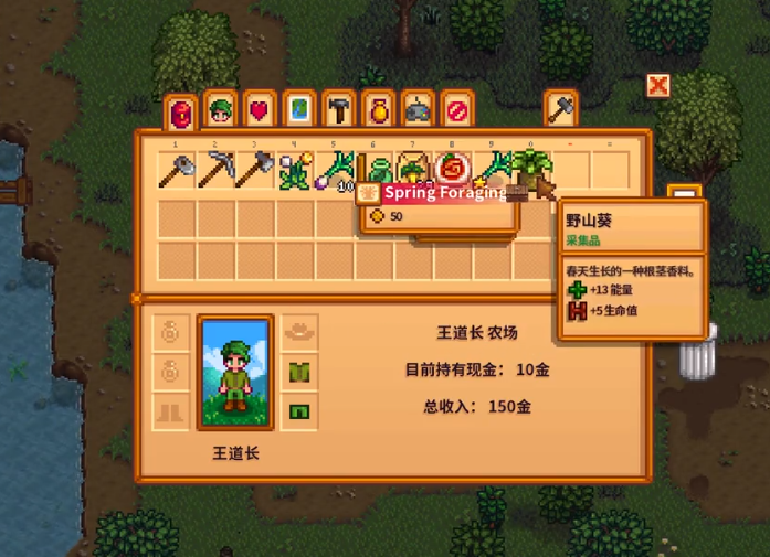 星露谷物语角色代码ID大全，一个独一无二的游戏秘籍