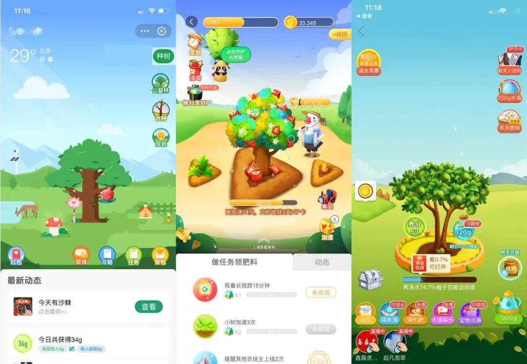 番茄，与你的生活相伴，品质优选