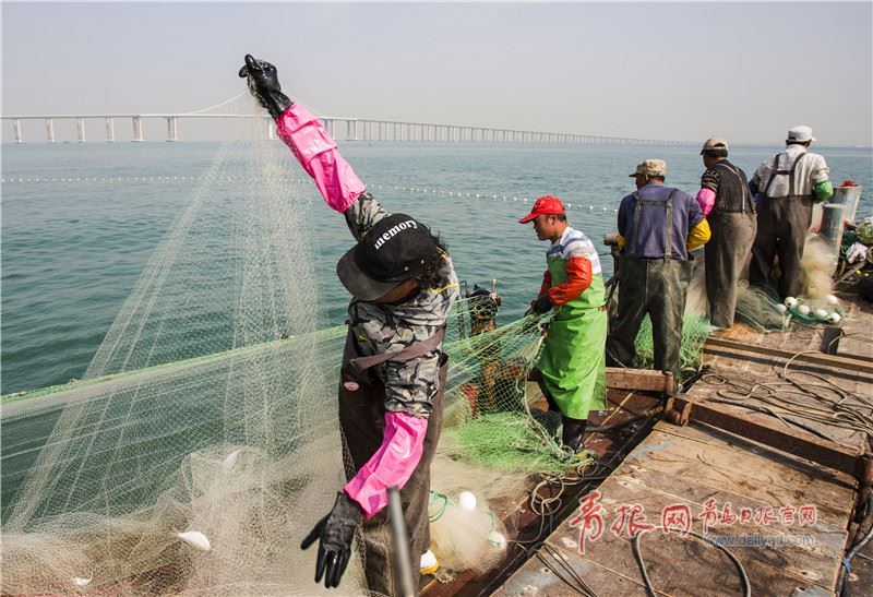 出海打鱼，软件助力渔网精准
