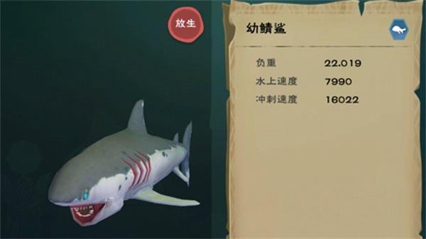 魔法幼鲭鲨，创造奇迹