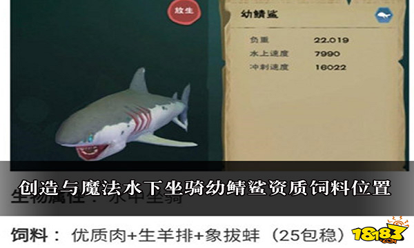 创魔幼鲨鱼饲料_创造魔法幼鲨饲料怎么做_创造与魔法幼鲭鲨饲料
