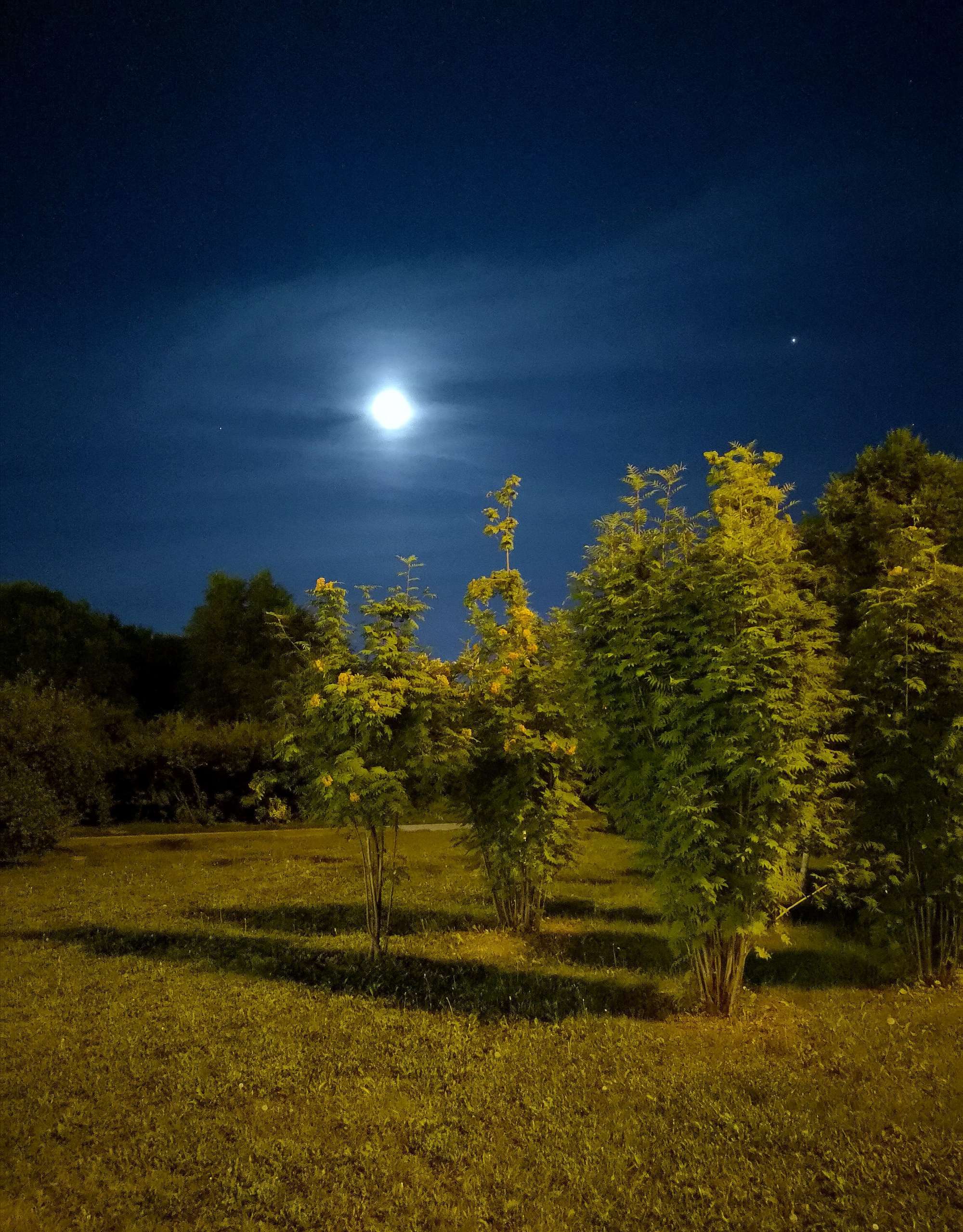 封神英雄榜2：攻略月圆之夜