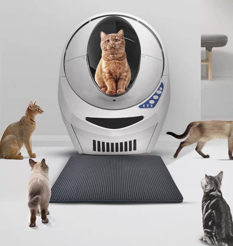 猫咪2.0_小猫咪小猫咪小猫