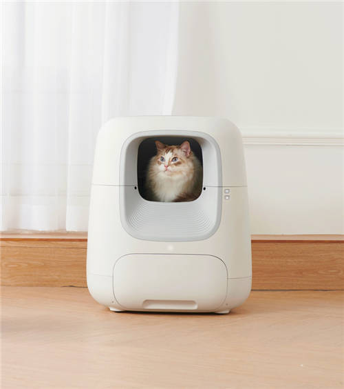 小猫咪小猫咪小猫_猫咪2.0