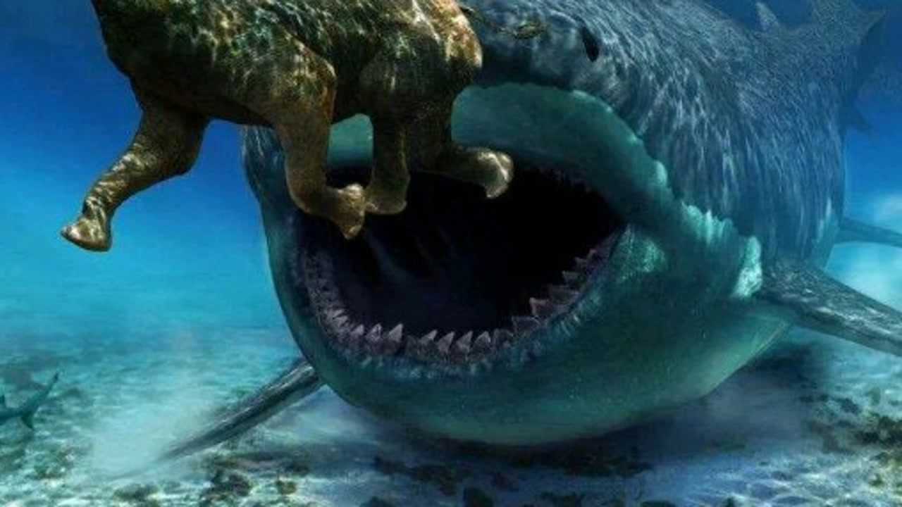 深海世界：饥饿鲨噬心