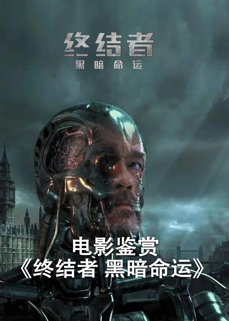 命运注定：西索结局，谁手终结？