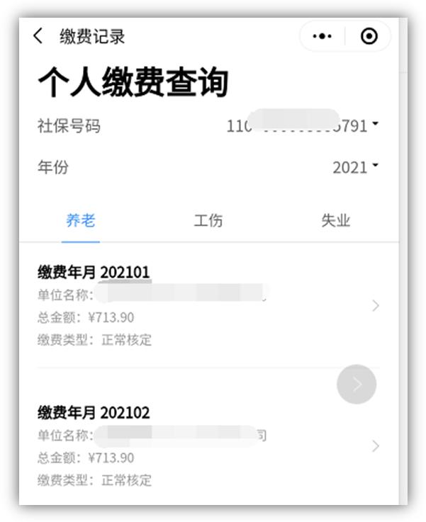便捷查询社保个人信息，北京市网上服务平台震撼来袭