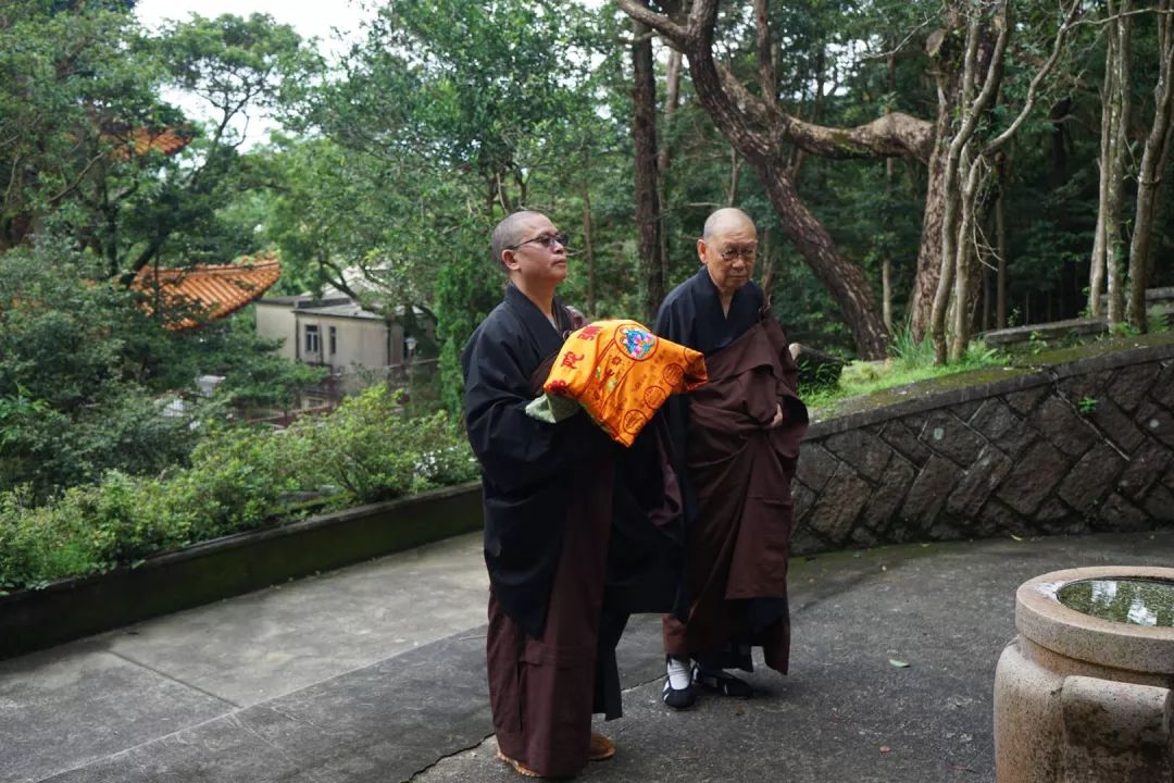 穿越无数时代，我成为大长老统领这个世界