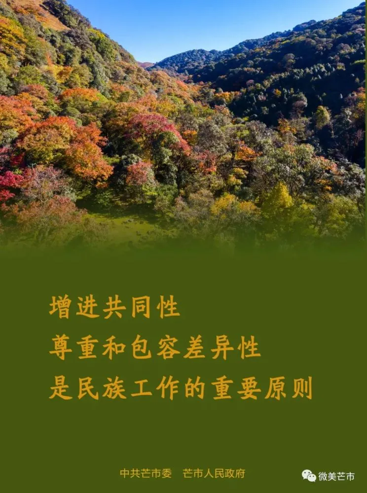 我的部落_部落战争部落解散_部落冲突