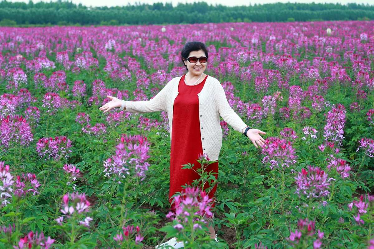 倚梅园中甄嬛说了什么_倚梅园是什么意思_倚梅园