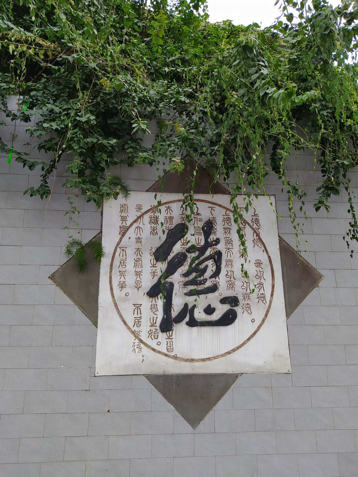 无遮无挡丝瓜视频_无遮无挡丝瓜视频_无遮无挡丝瓜视频