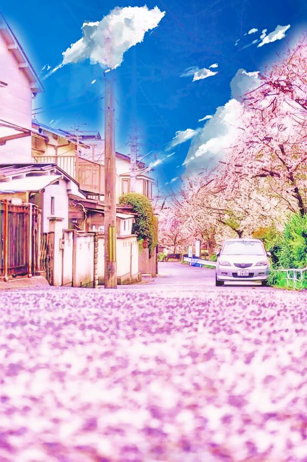 热爱樱花，沉浸动漫世界